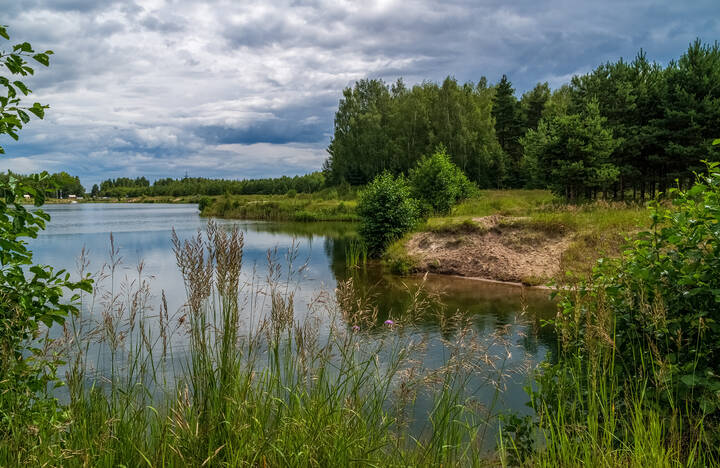 Рыбное место 5 