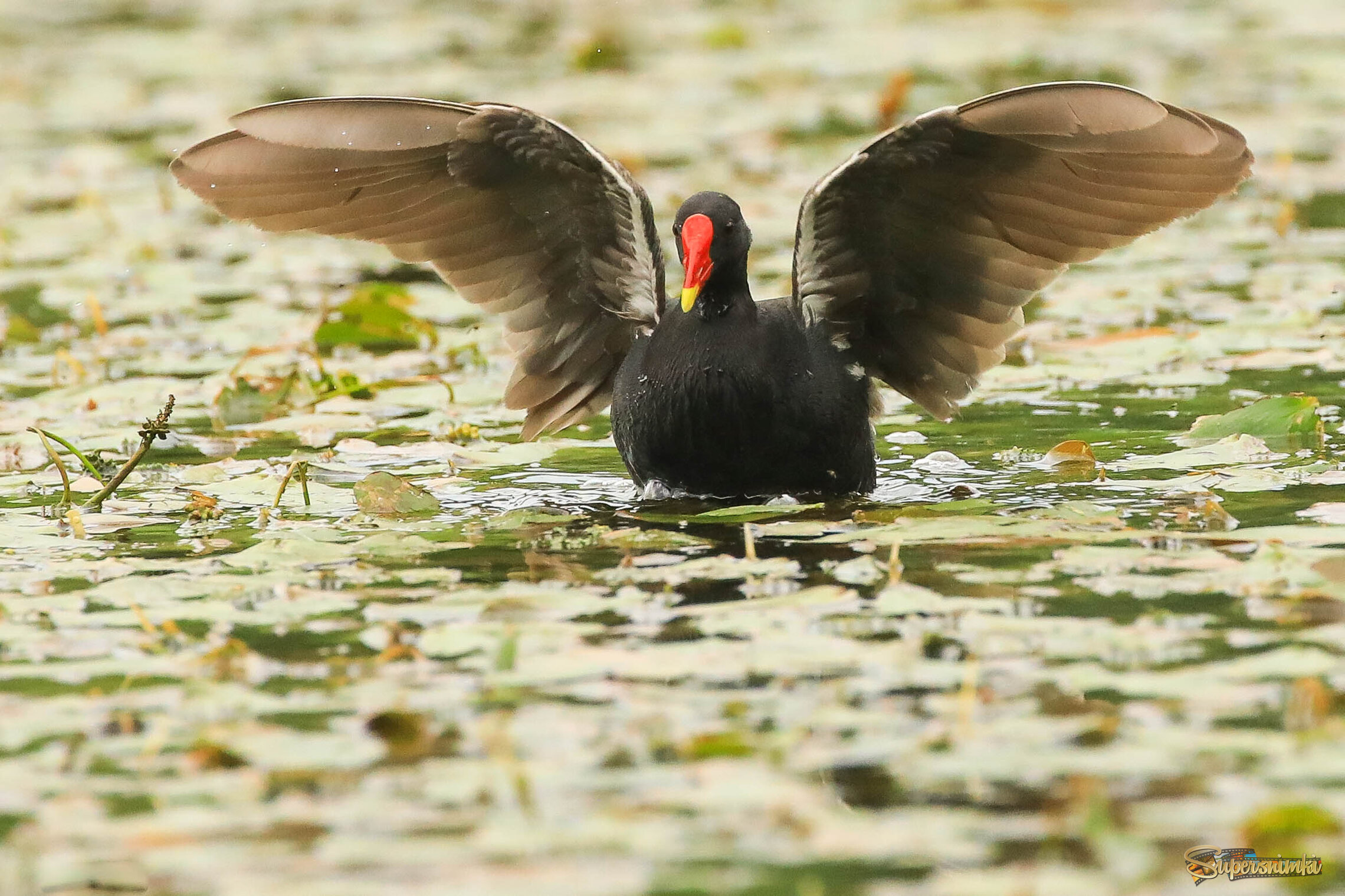 Взволнованная