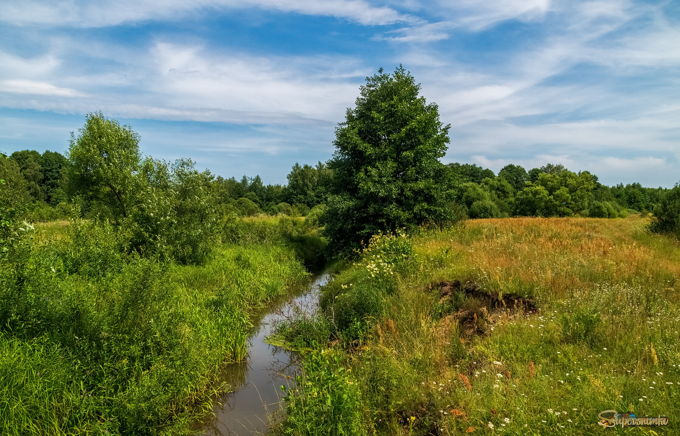 Родные просторы 