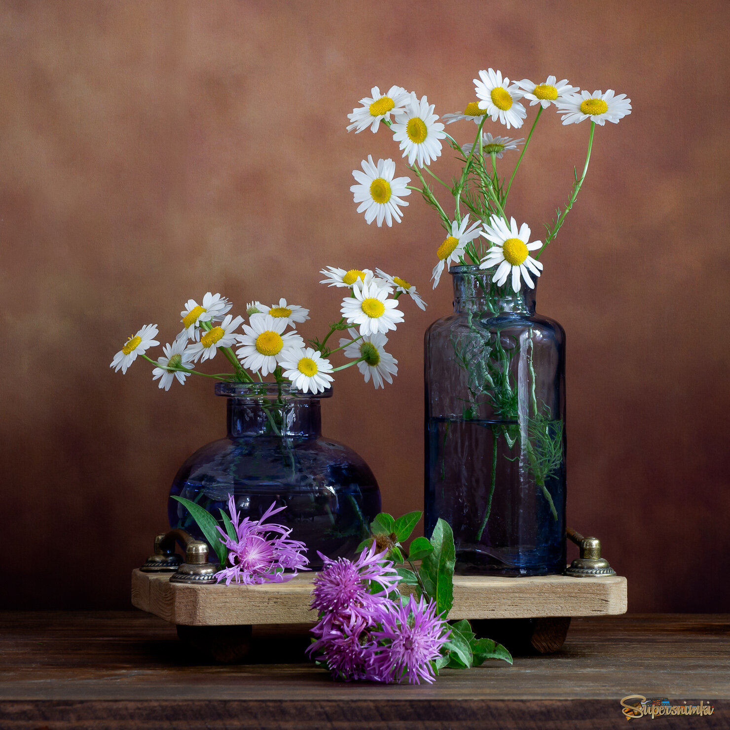 Ромашки и васильки 