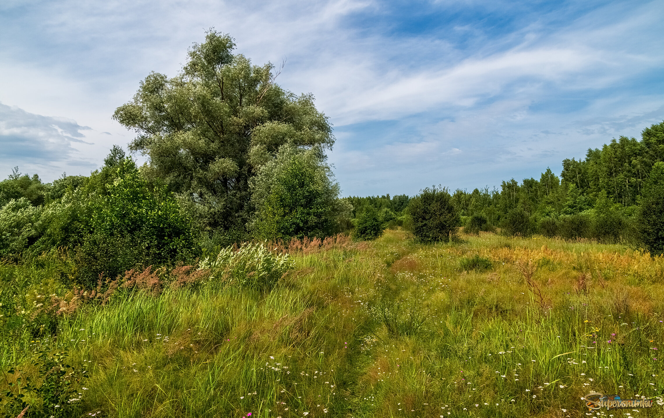 Родные просторы 2 