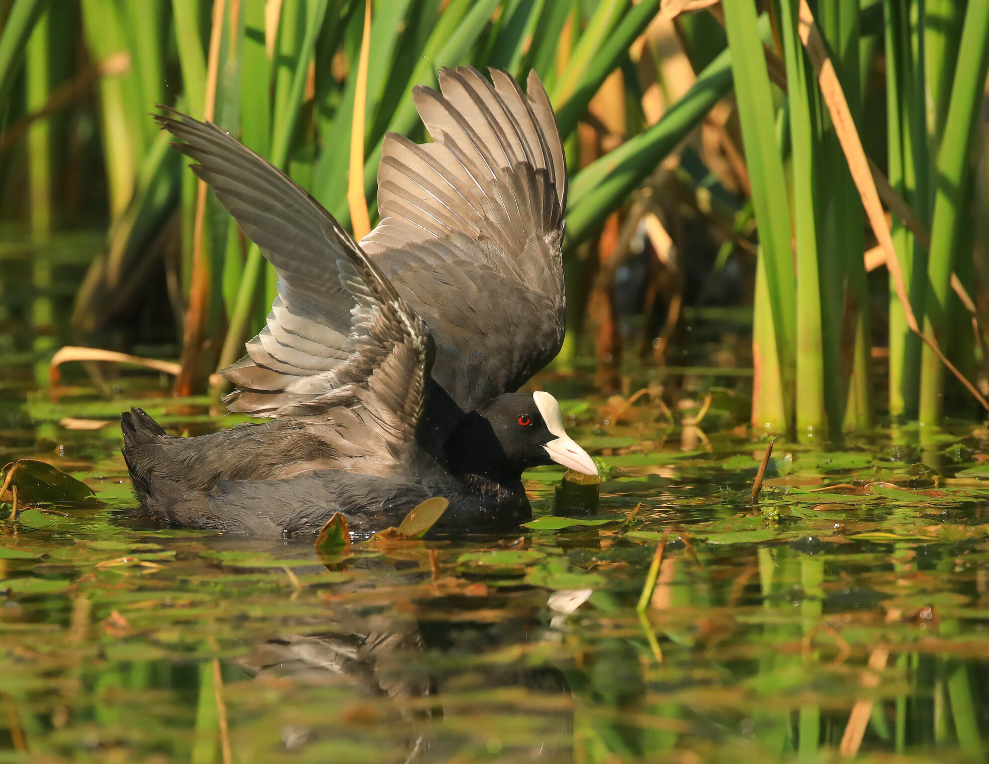 Надо бы поразмяться!