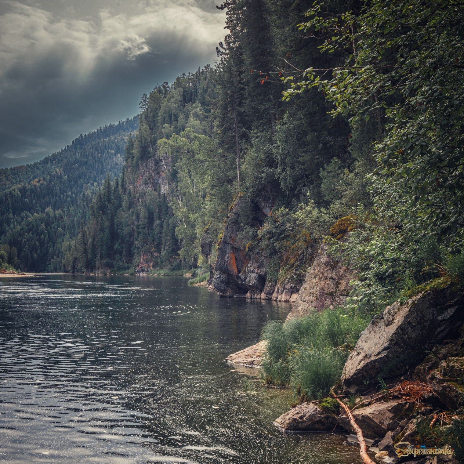 Крутые скалистые берега Абакана, поросшие густым лесом.