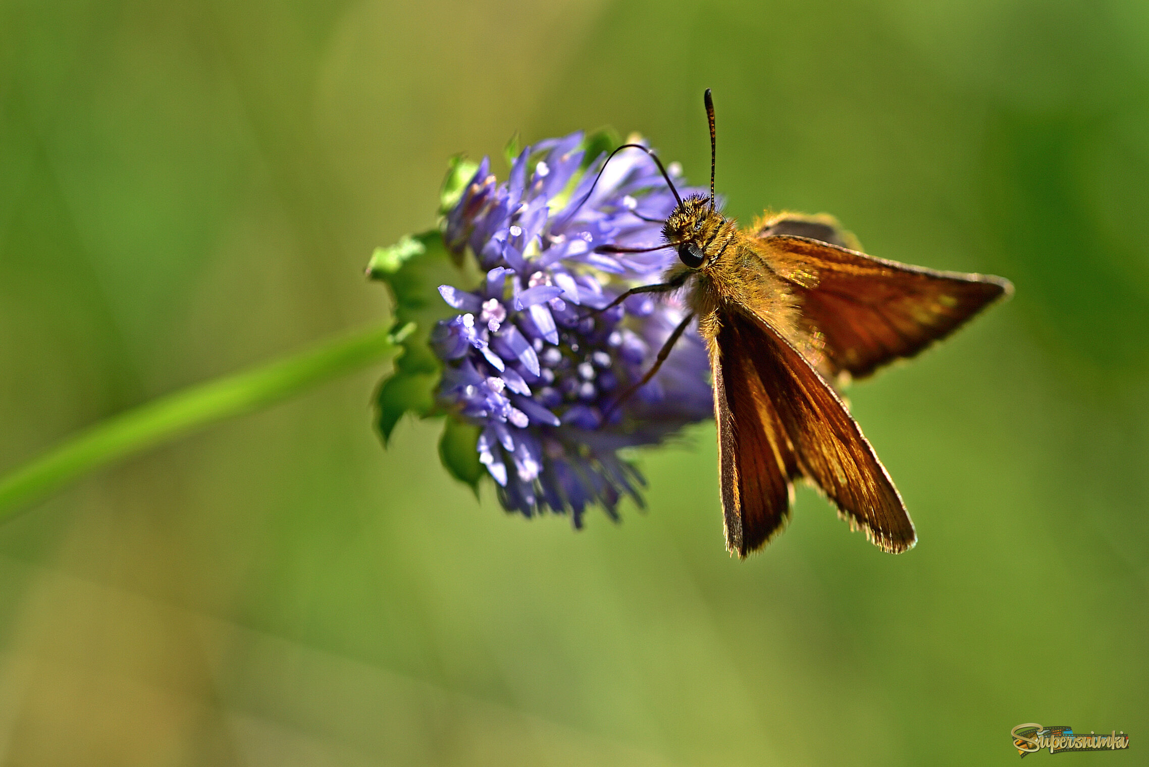 68832f9b4864a76445dc516c