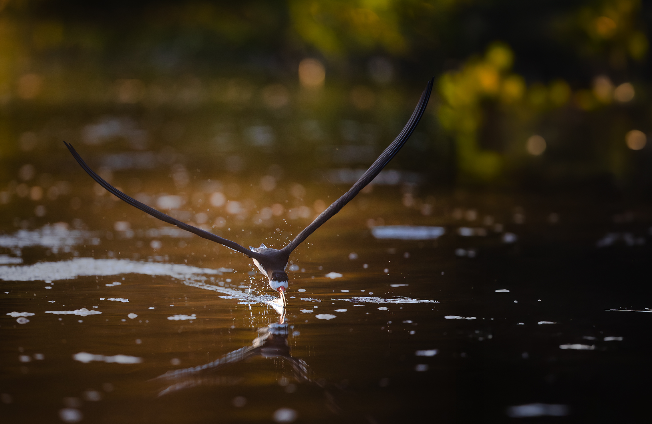 Разрезая воду