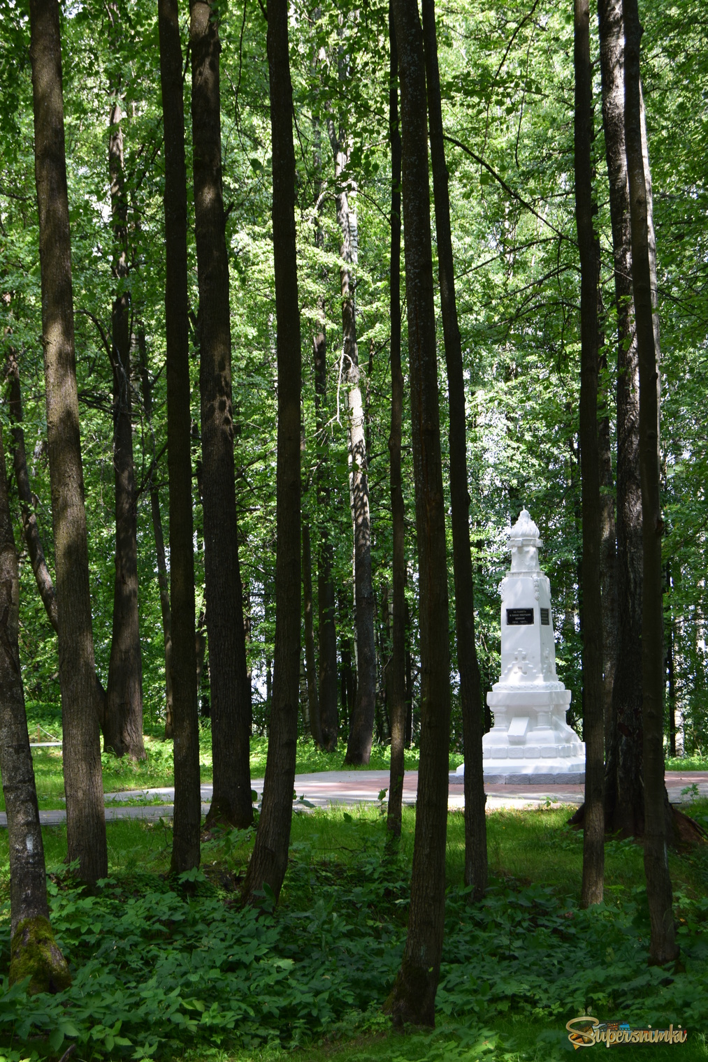 6883e2070b1cdcb91fdc516c