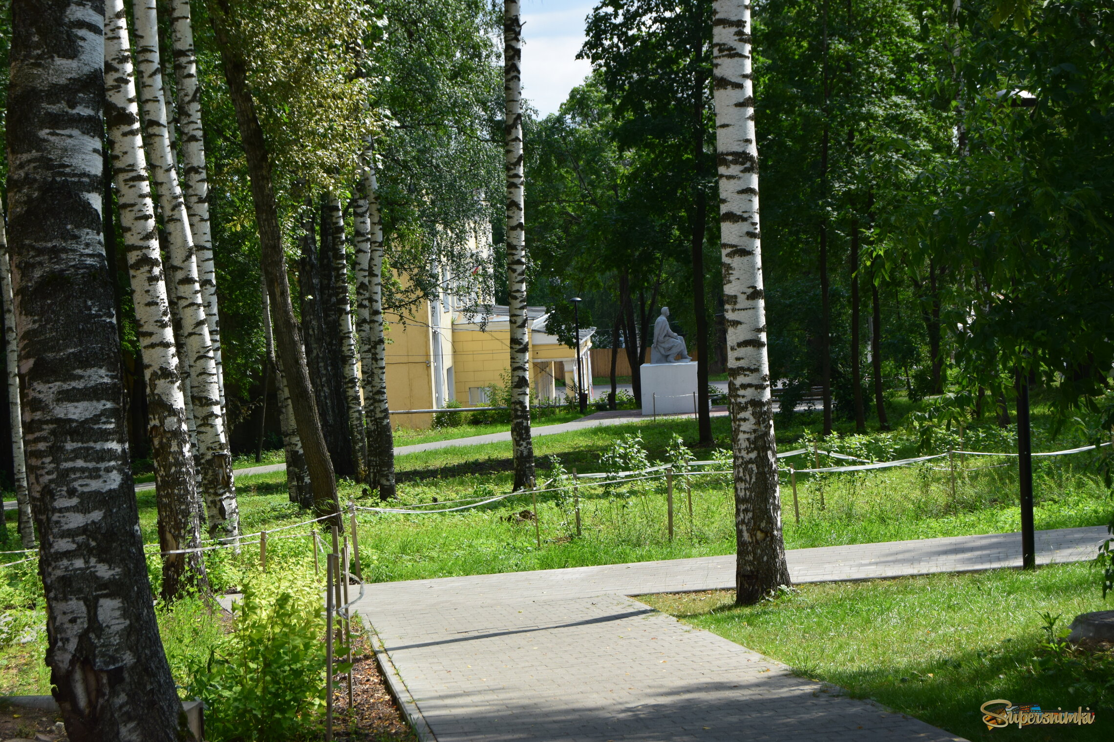 6883e240bef91a4781dc516c