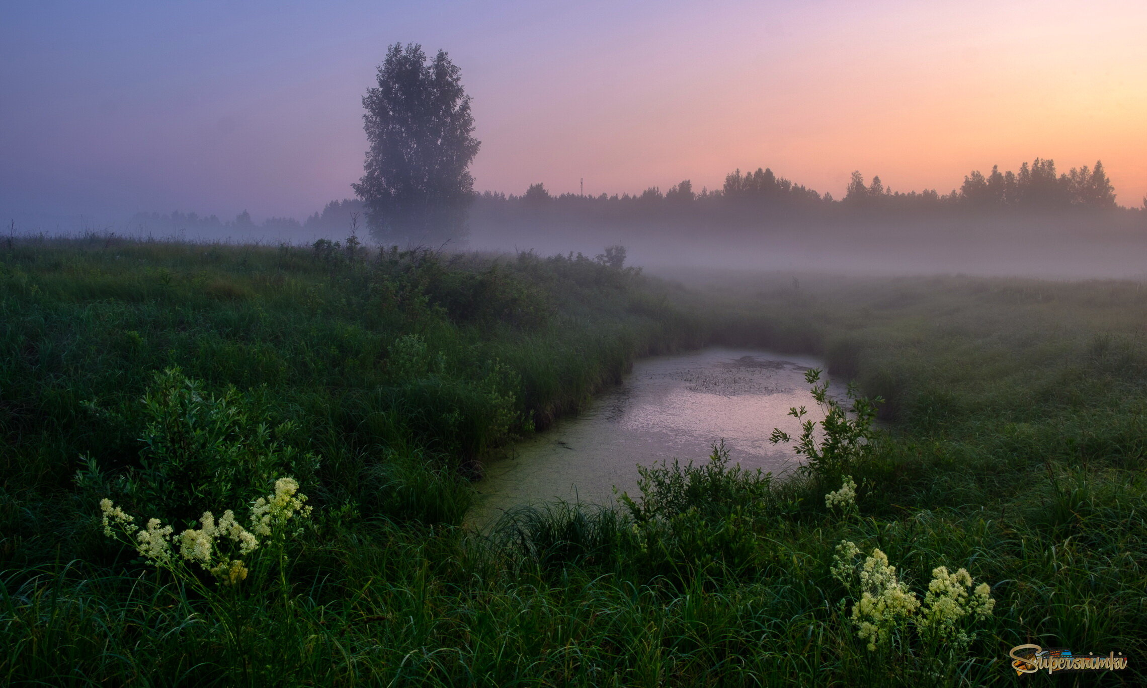 Ранее туманное утро в деревне