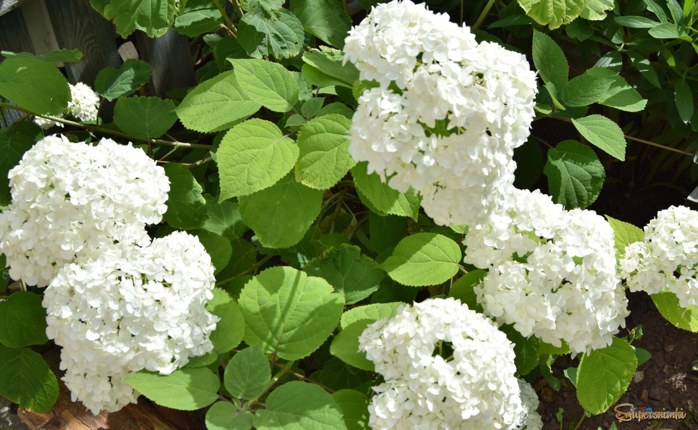 6884ea4a8ca26a1115dc516e