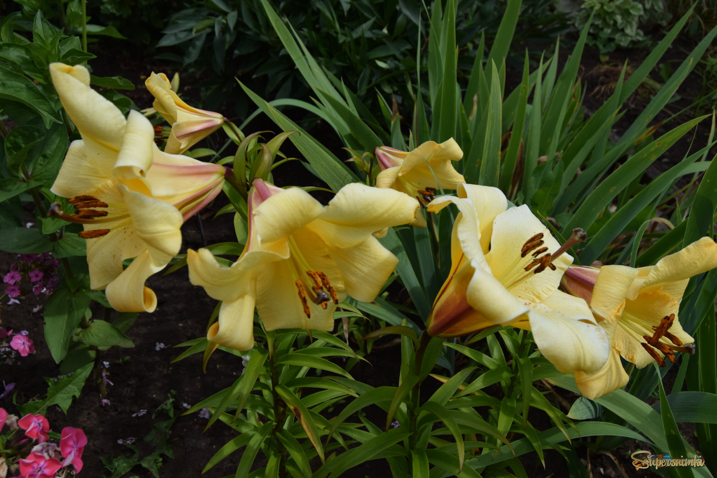 6884ea5ffd6ca492acdc516c