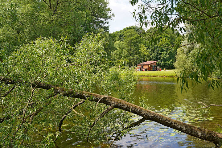 Шибаевский пруд