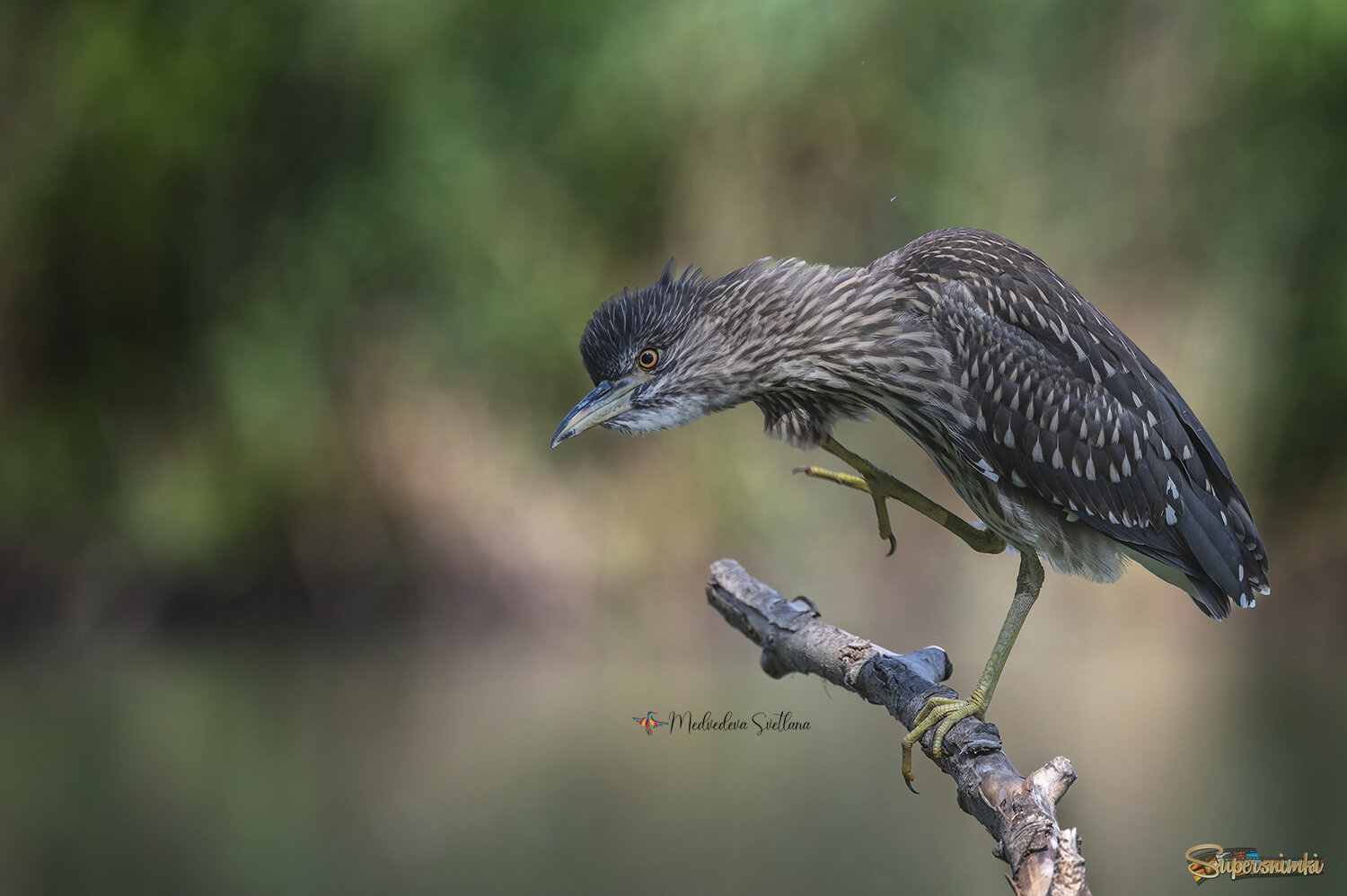 Страшно красивая.