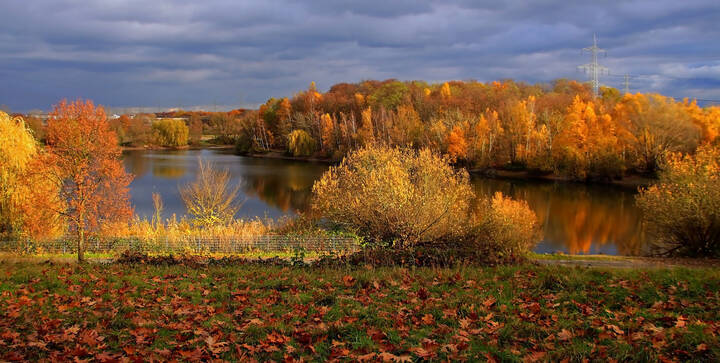 Осень 