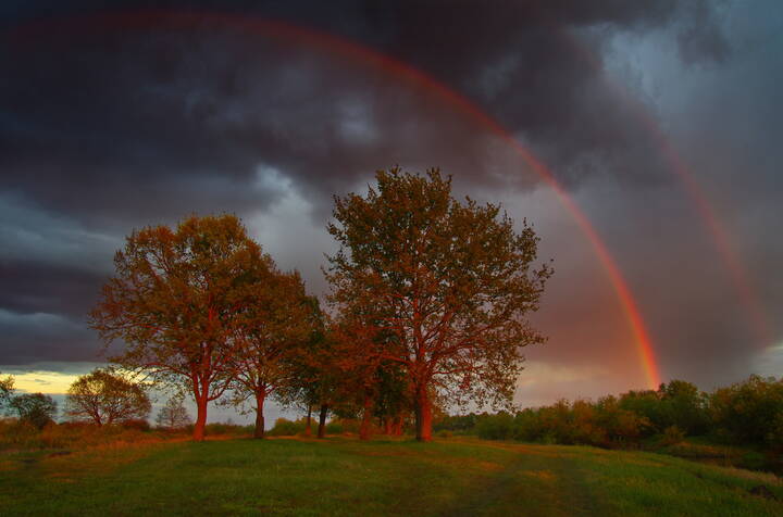 В свете заката