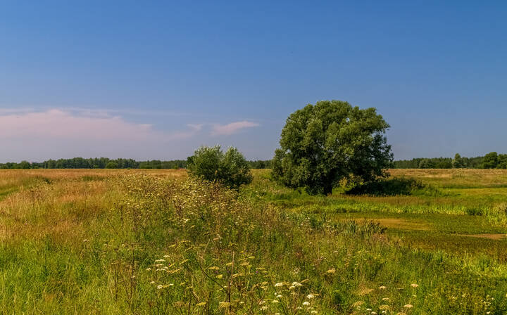 Жара июль 2 