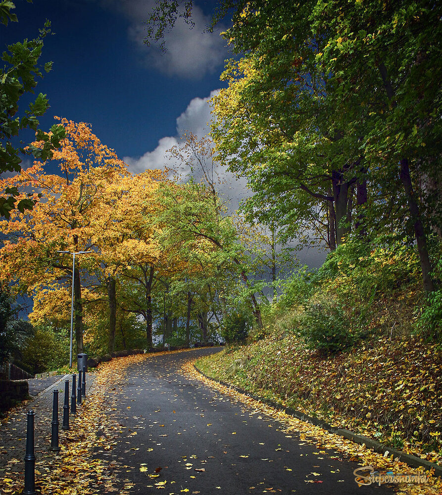 Дорога в осень