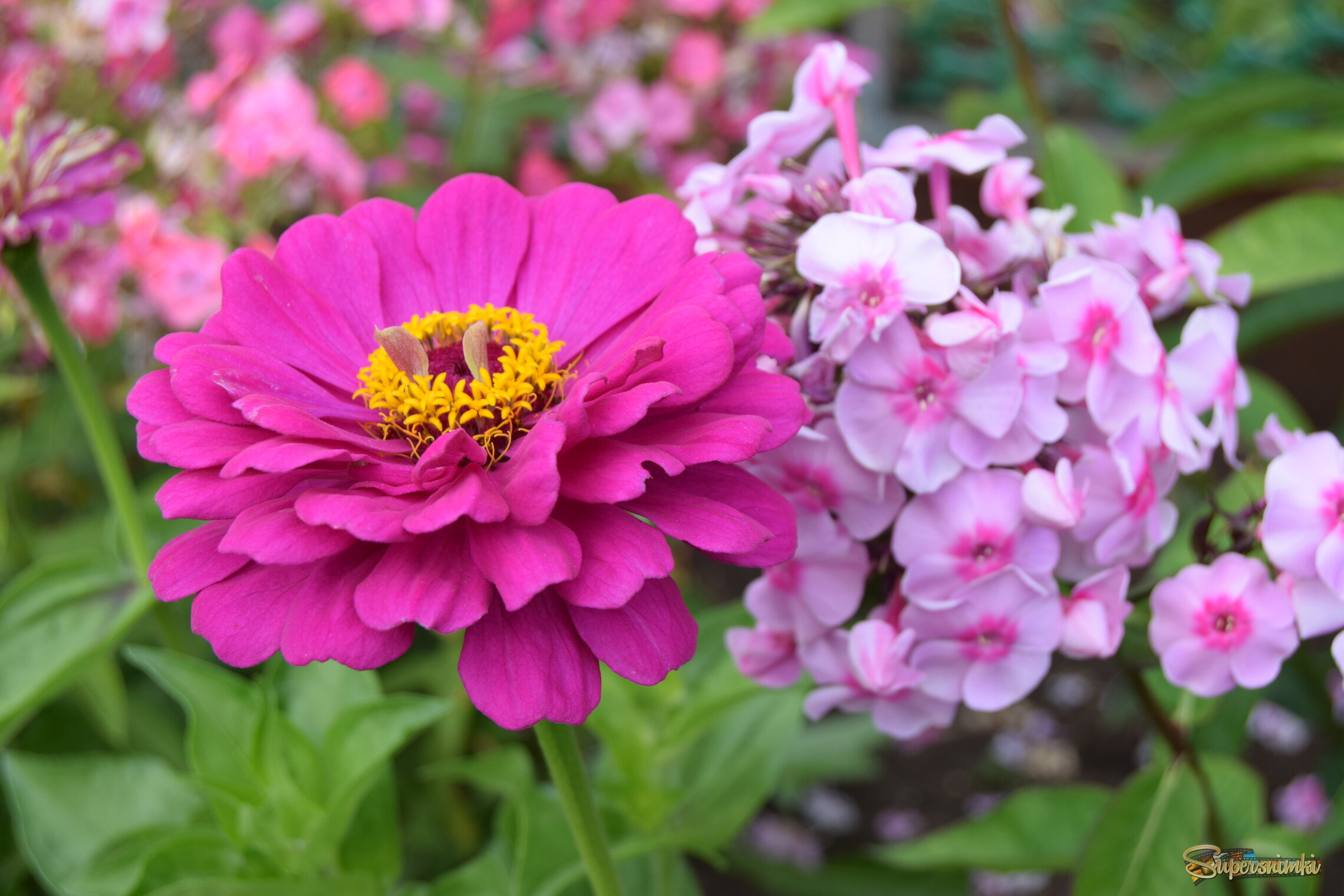 68873ca23b98959d20dc516c