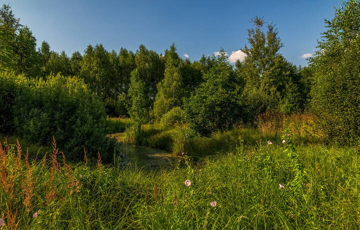 Жара июль 3 