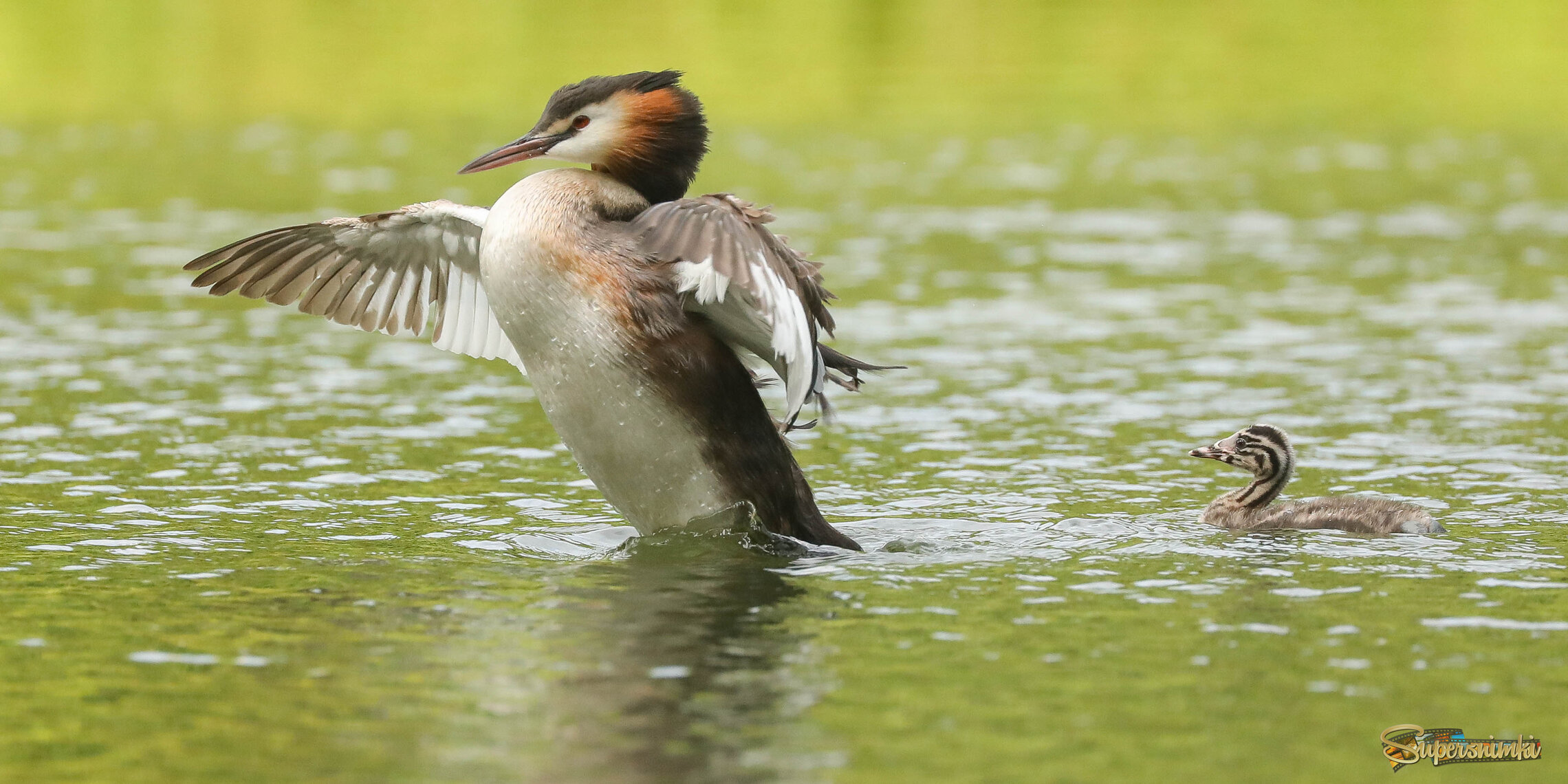 Пора поразмяться!