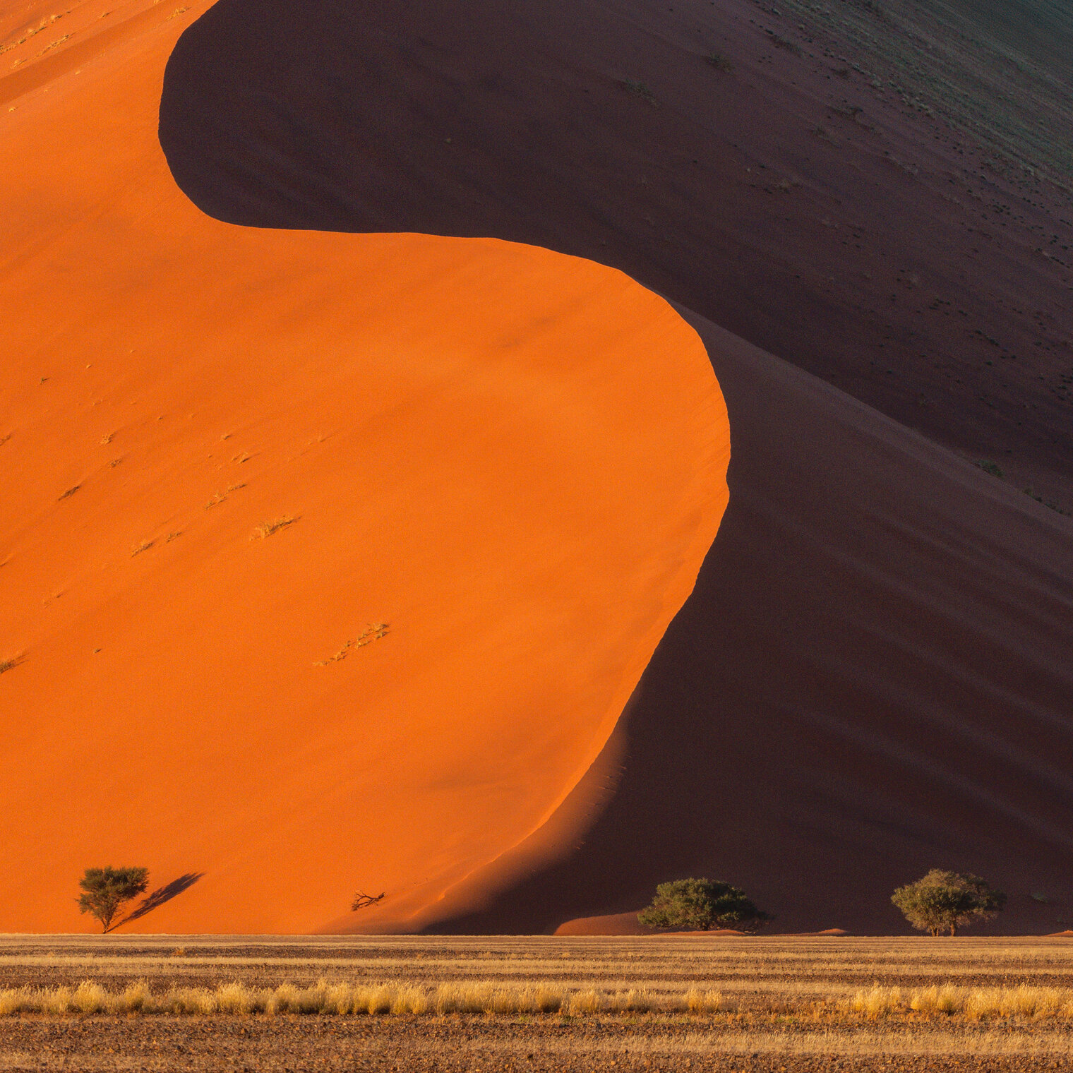 The Shape of Light: First Touch to Final Flame