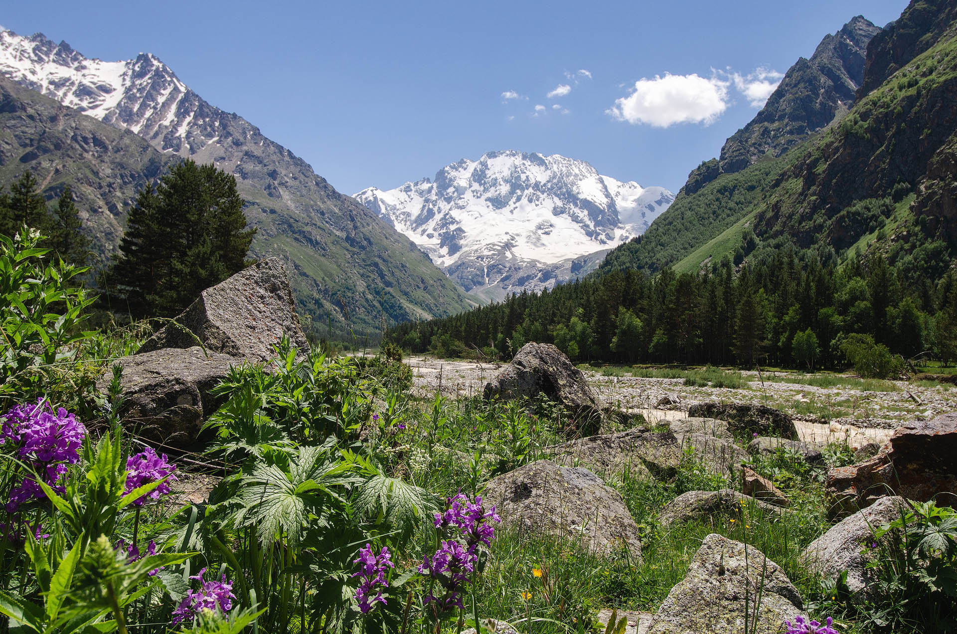 Лето жаркое