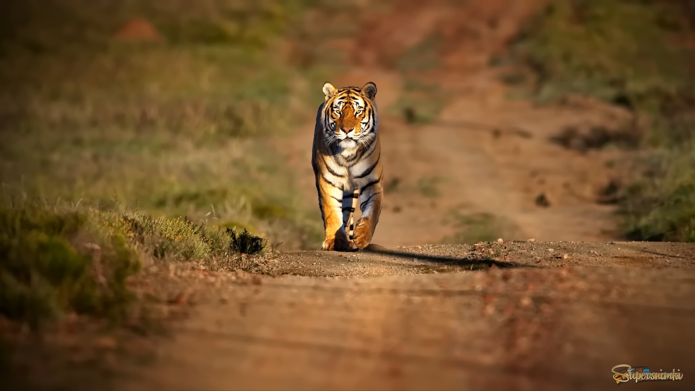 Обход владений