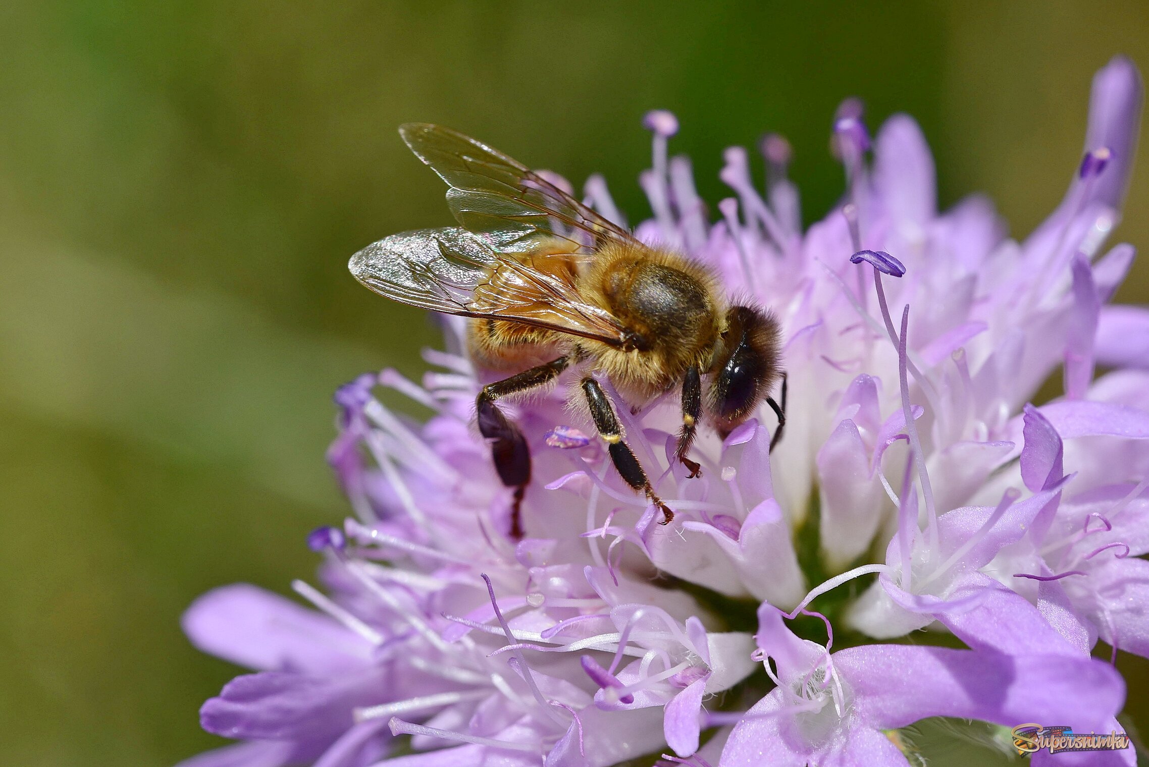 68889648afe8589805dc516c