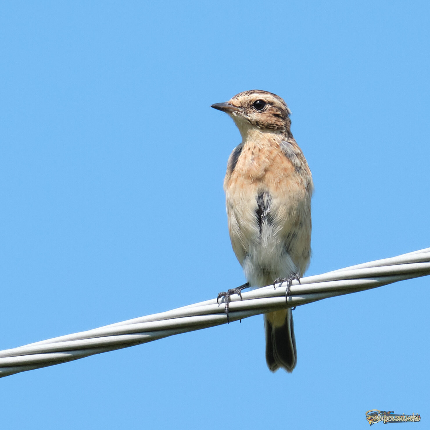 Закон Ома? Не, не слышал!