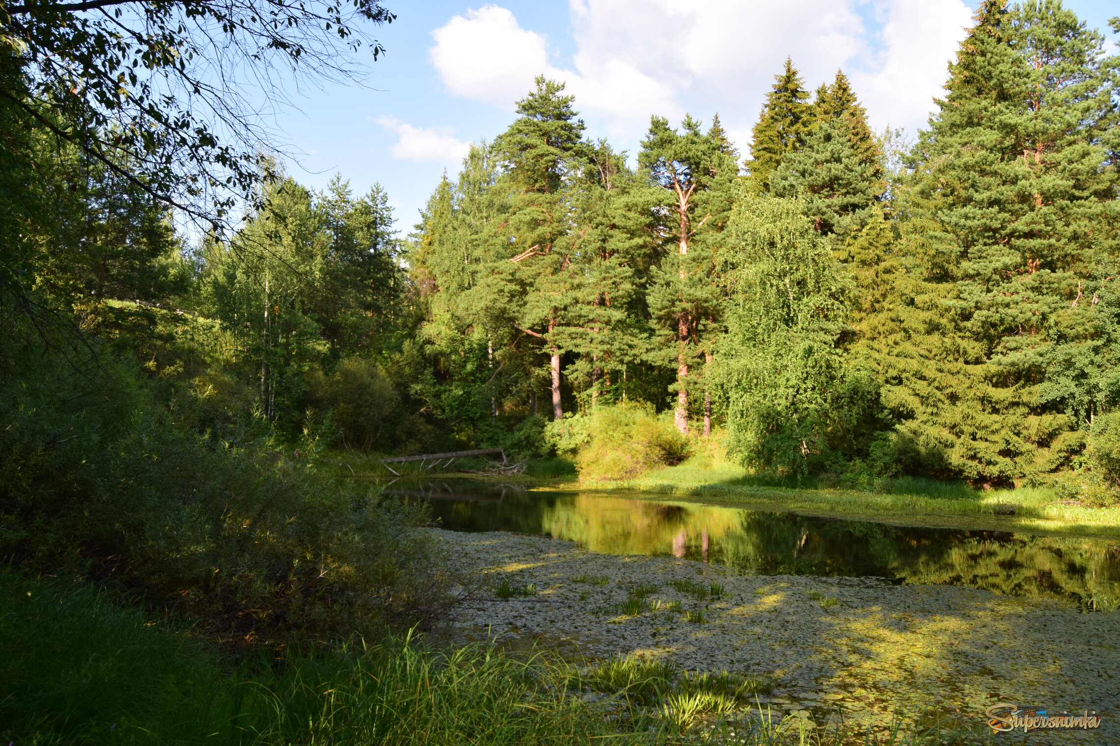 688b7961fb98c96474dc516c