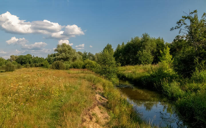 Жара июль 6 