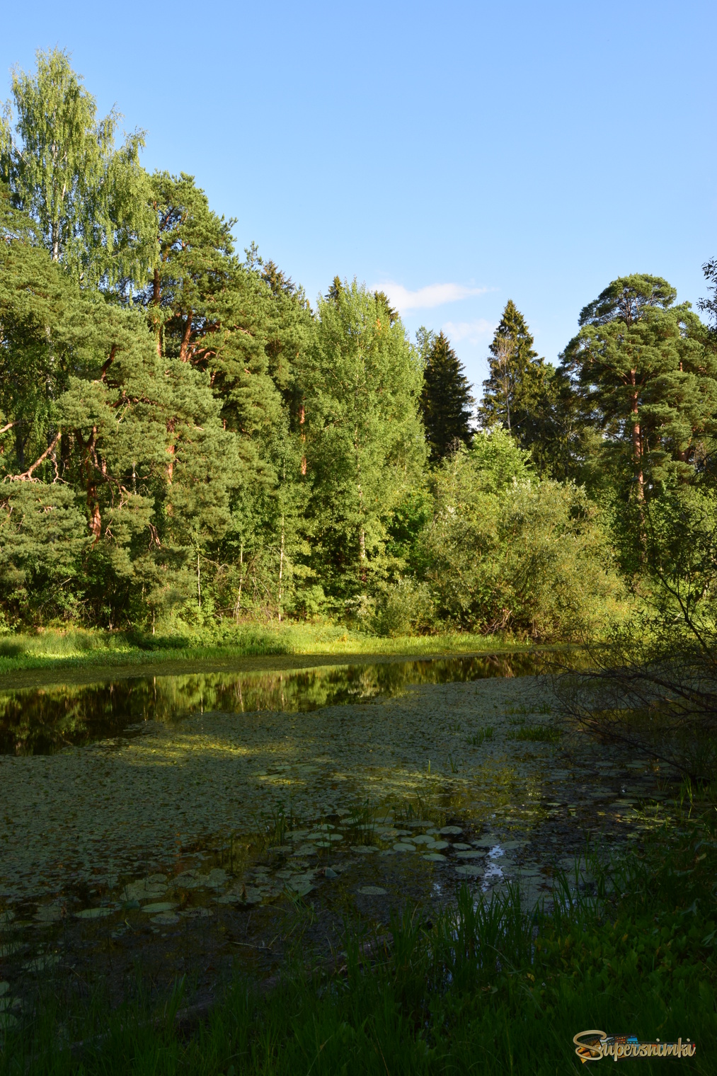 688b79951b8778e11fdc516e