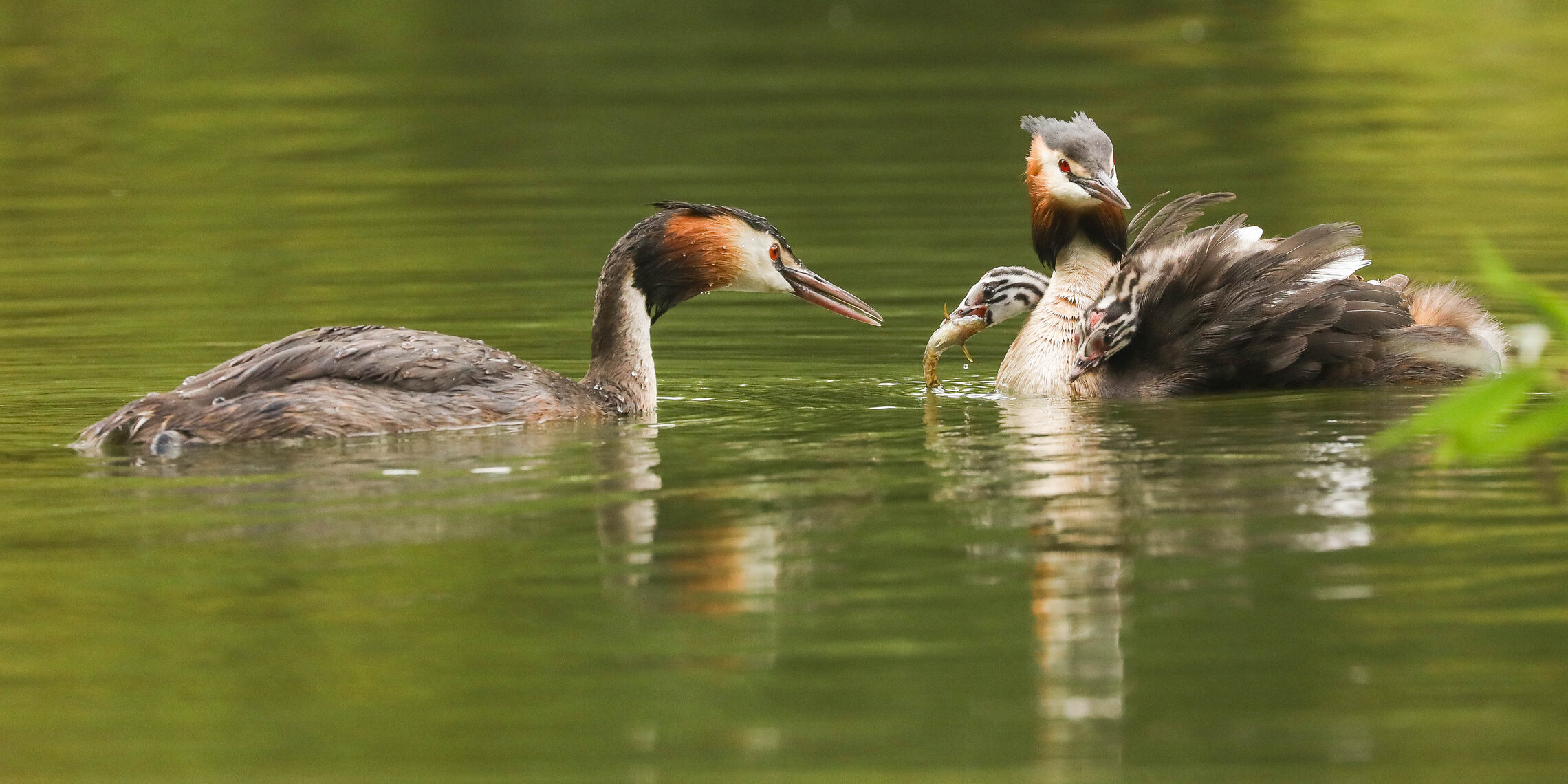 Все при деле