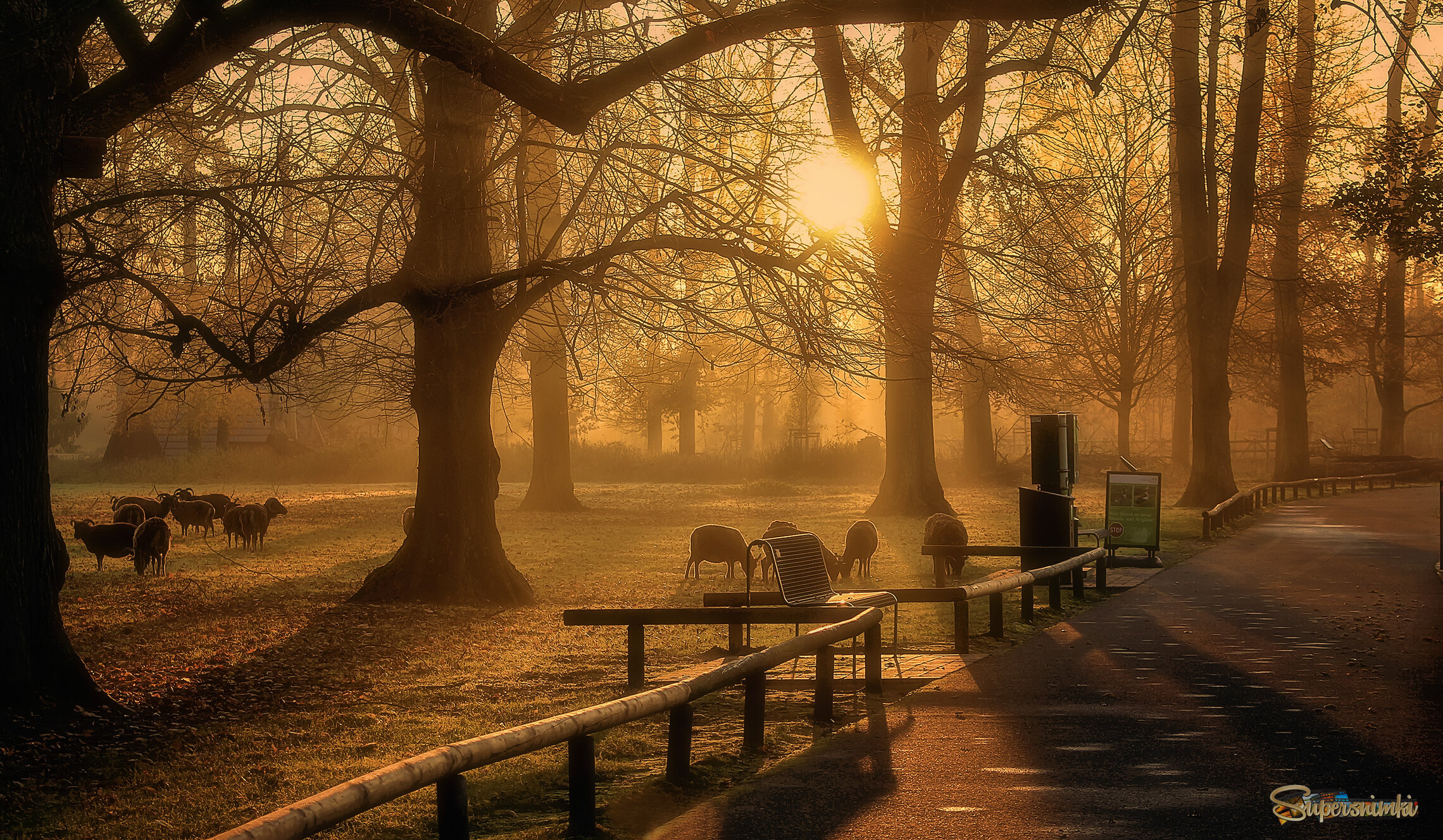 Утро в экопарке