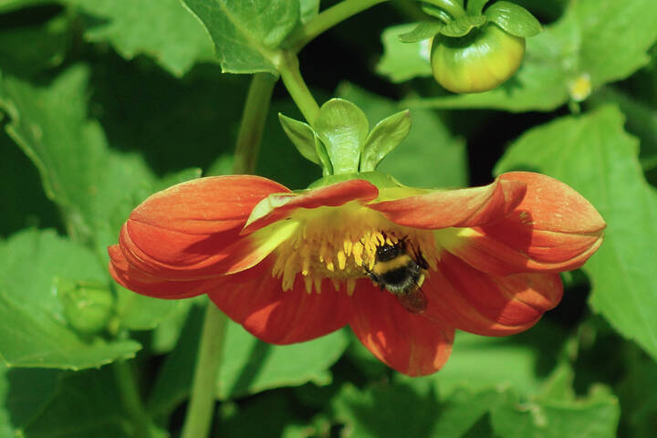 Под зонтиком летнего кафе