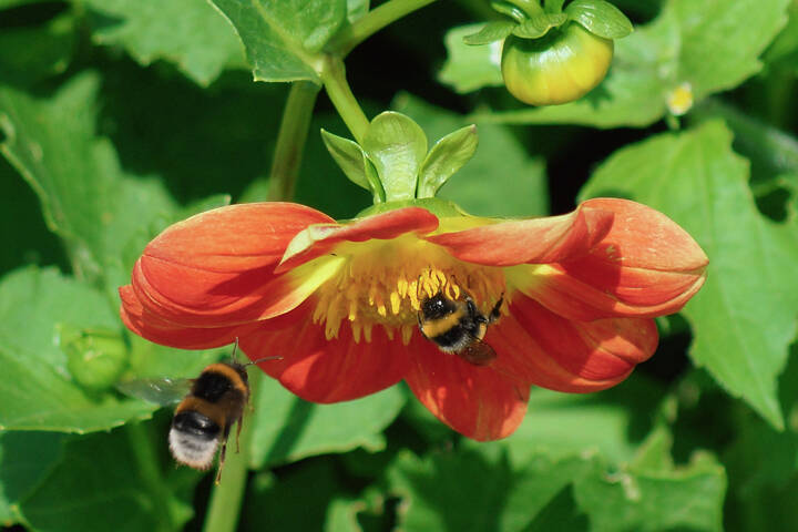 Под зонтиком летнего кафе