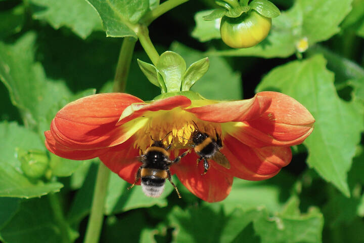 Под зонтиком летнего кафе