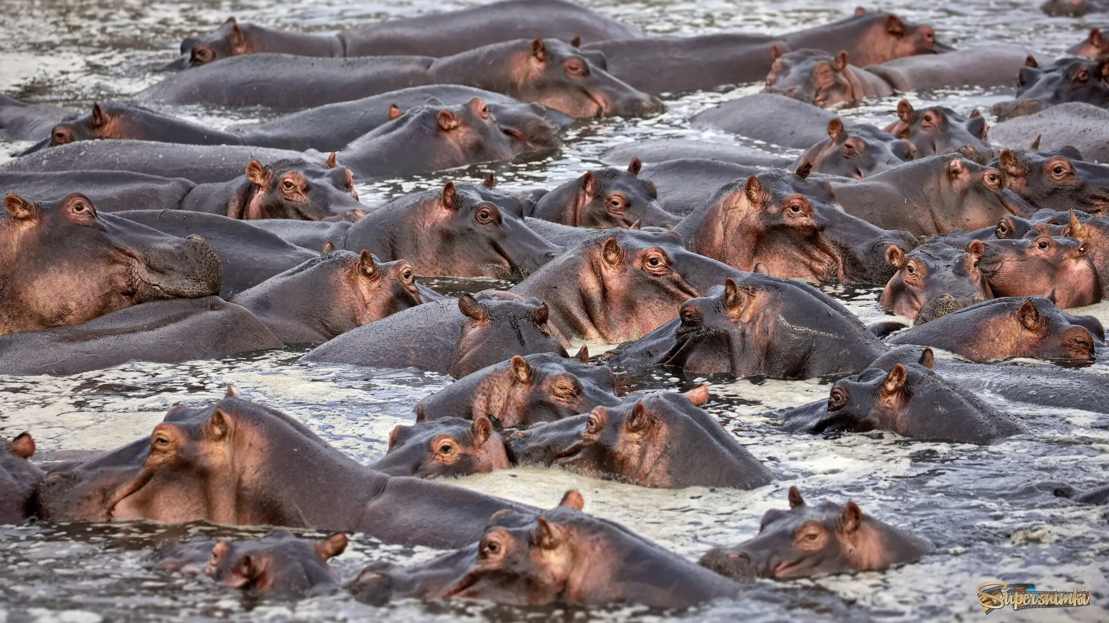 Коммунальная квартира