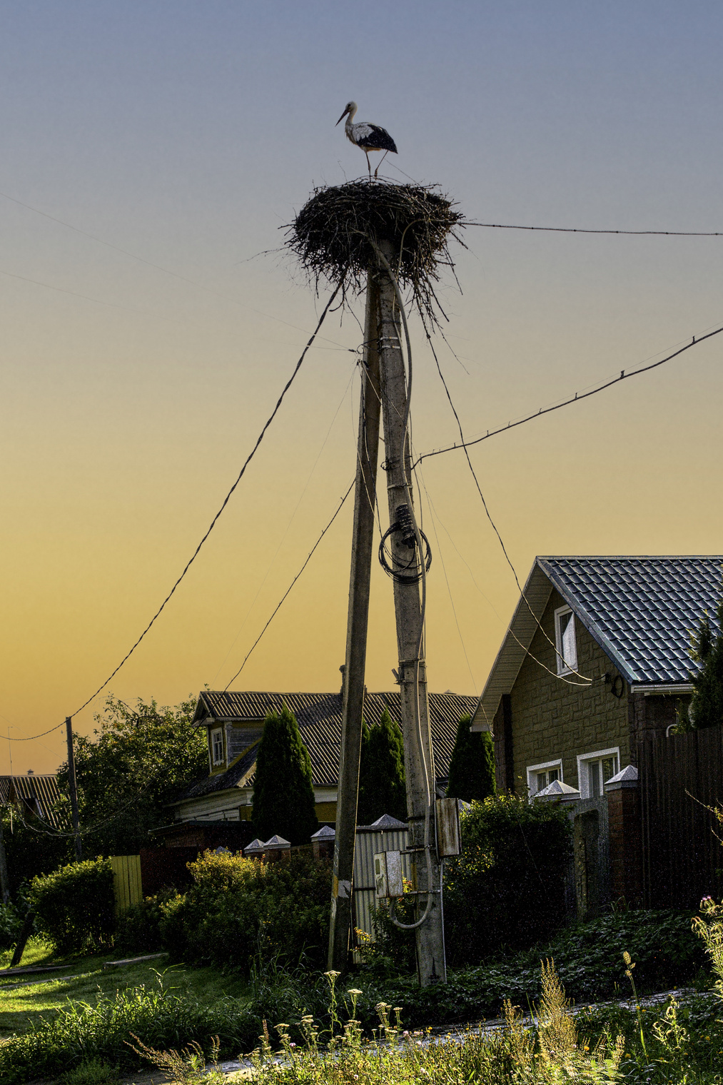 Cело Ярополец