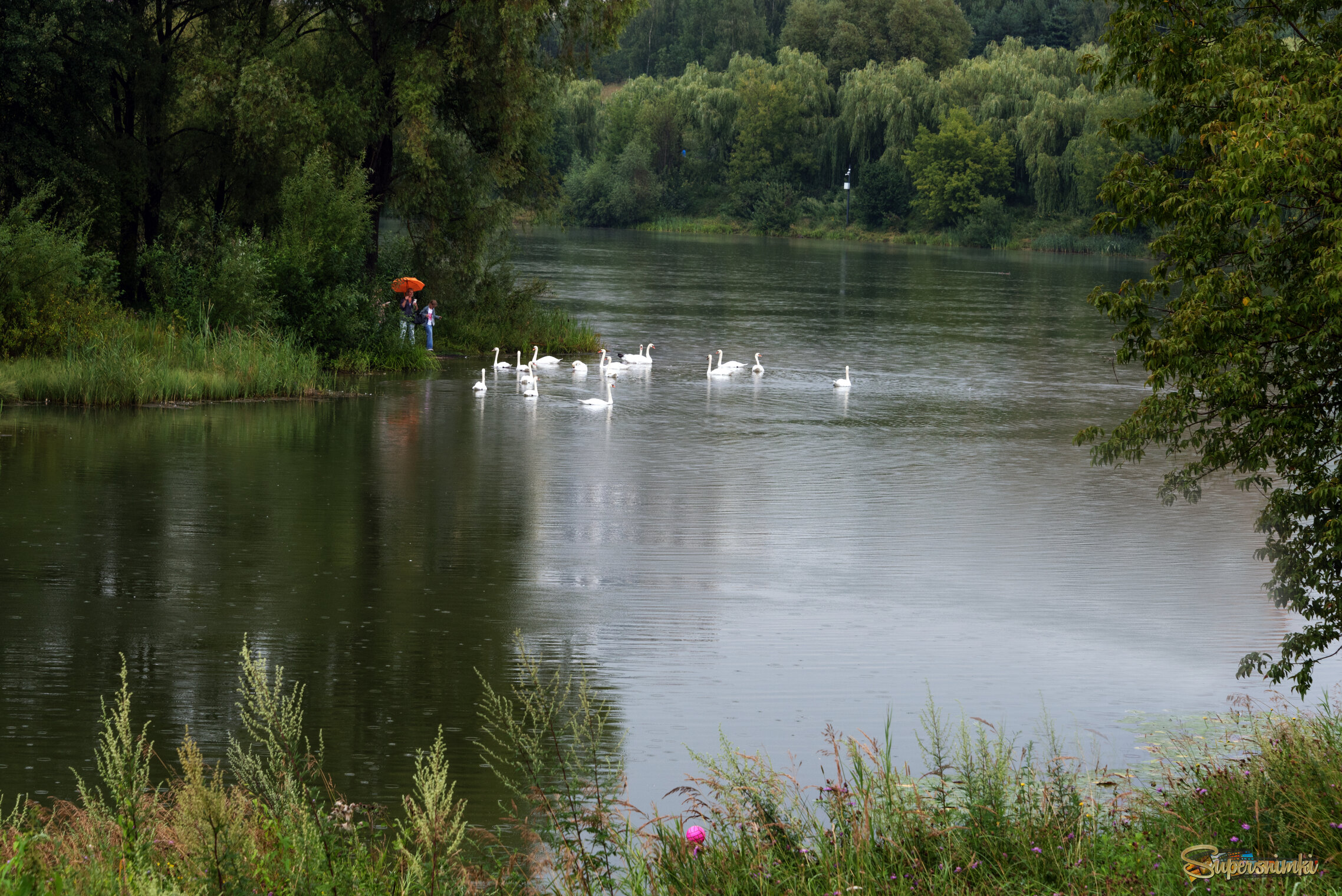 Дождливый день.