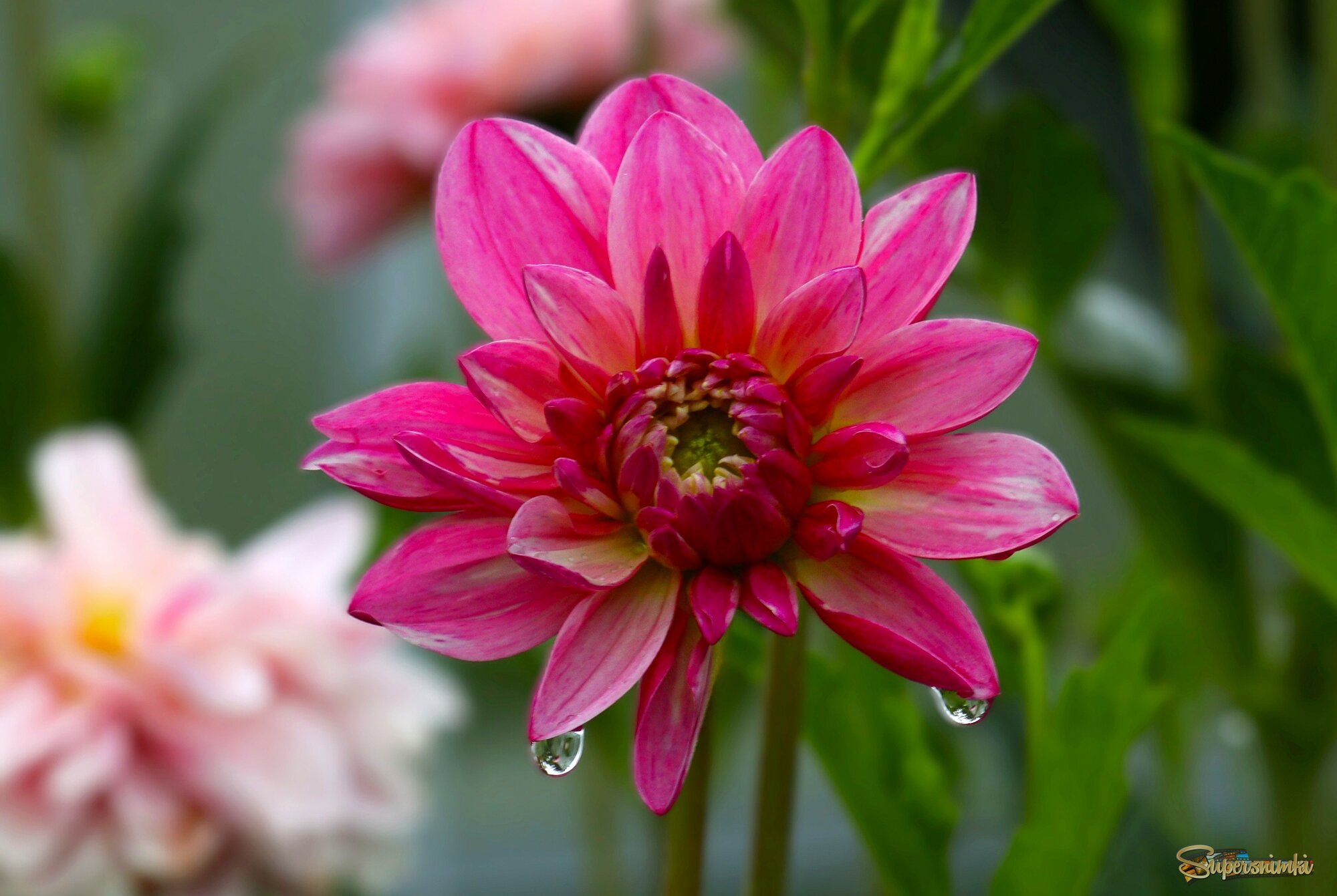 Доброе утро