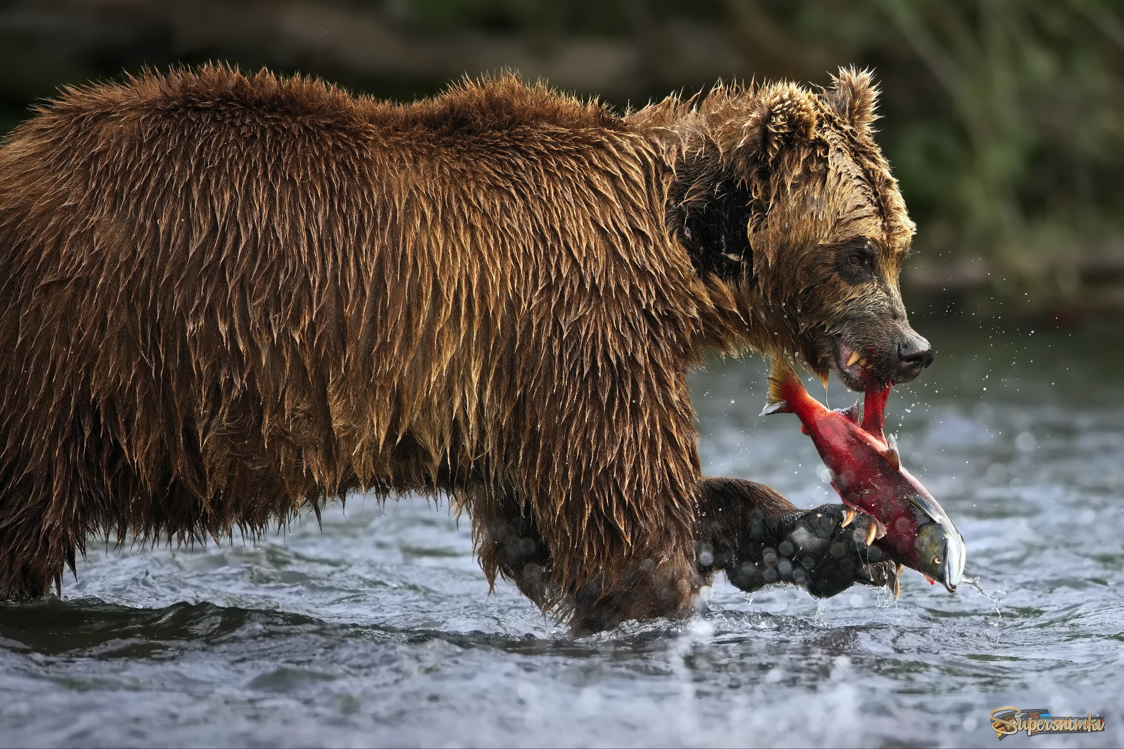 Похудеть нельзя съесть