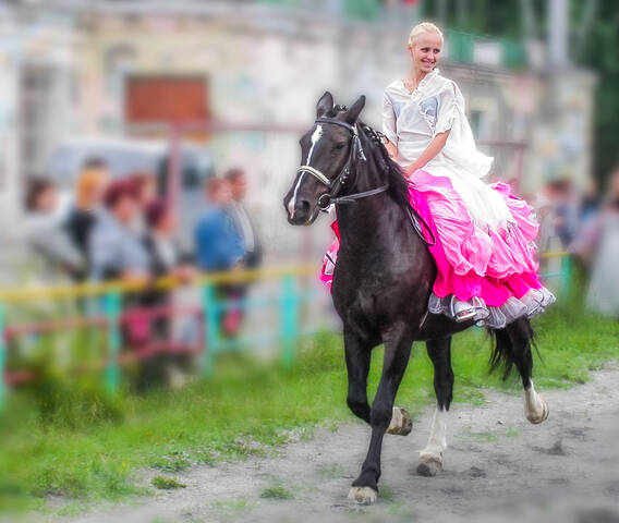 Северская амазонка