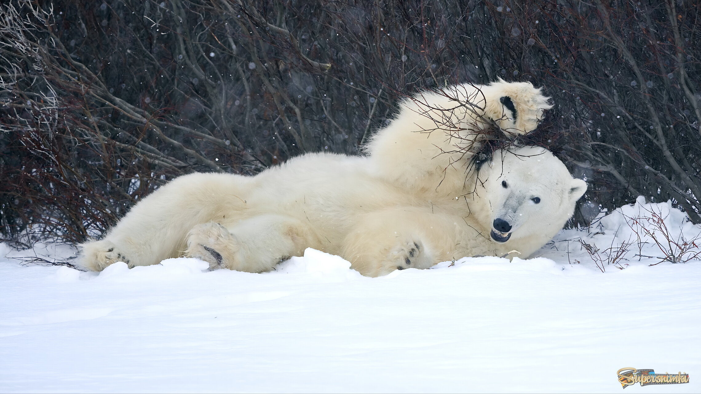 Привет братве!