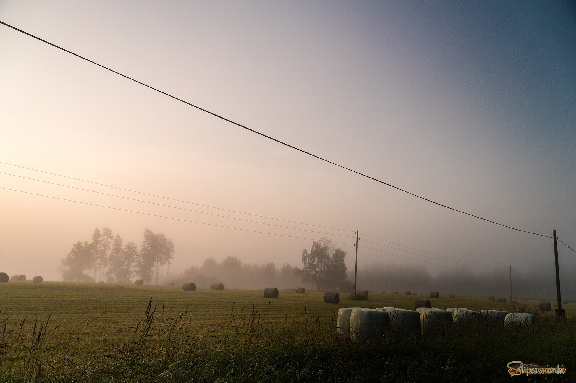 6891bc17a5c5f0fee769e4c1