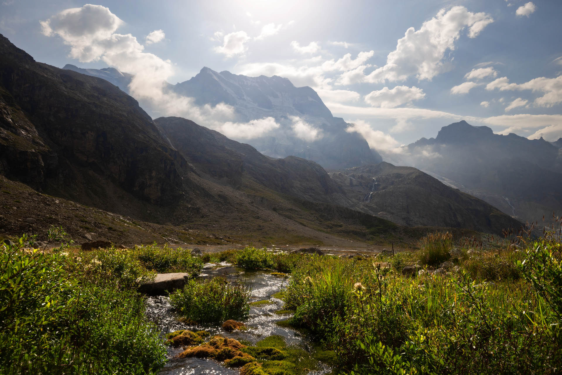 Горный родник
