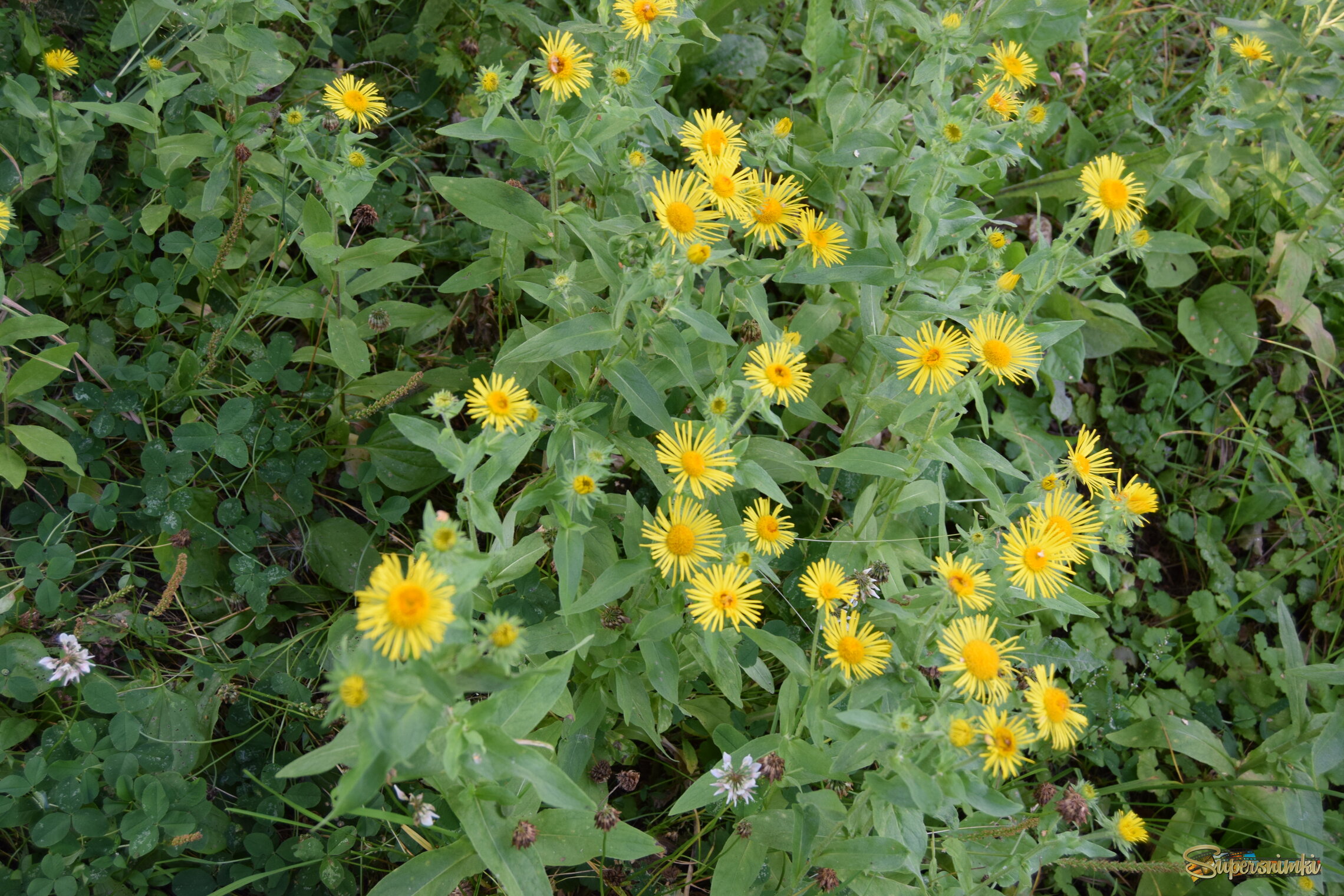 6891e53e0c5b93a49369e4c2