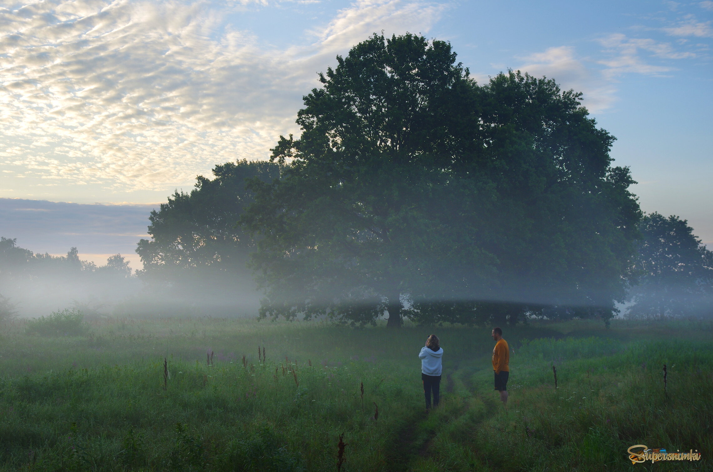 Встречая утро