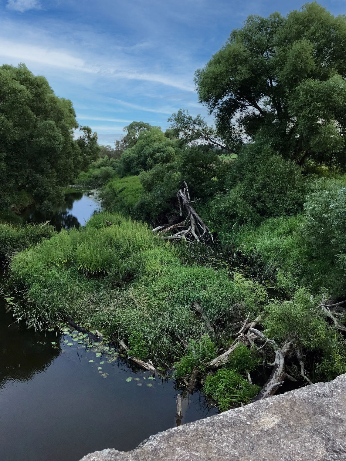 landscape (снято IPhone)