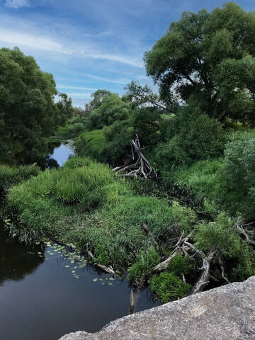 landscape (снято IPhone)