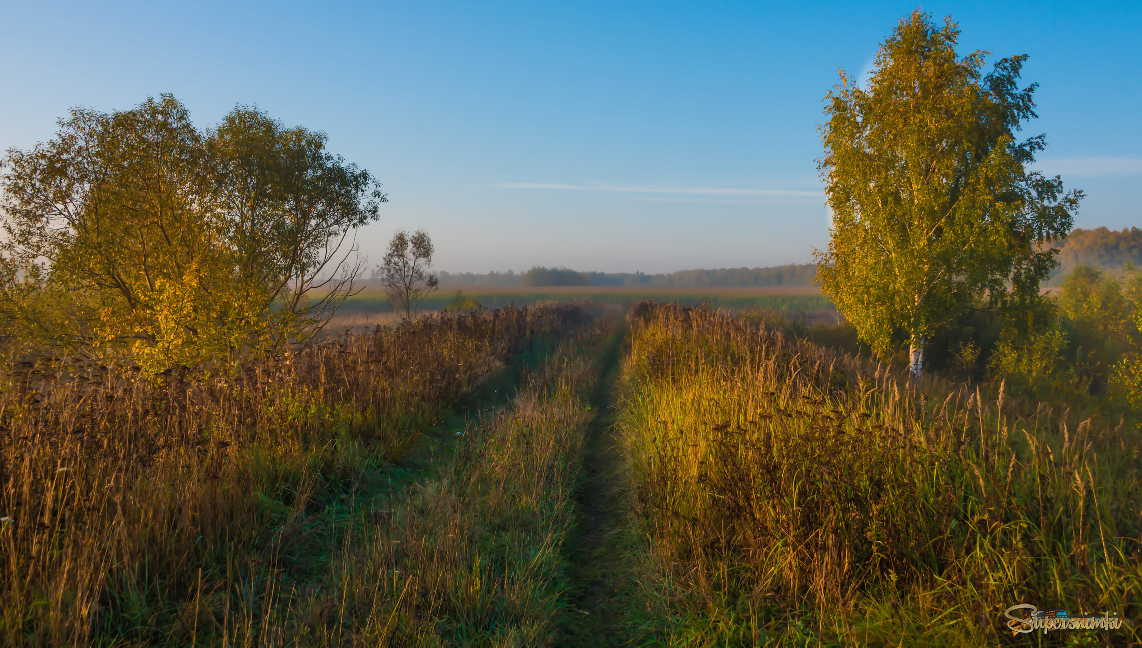 Даль бескрайняя.
